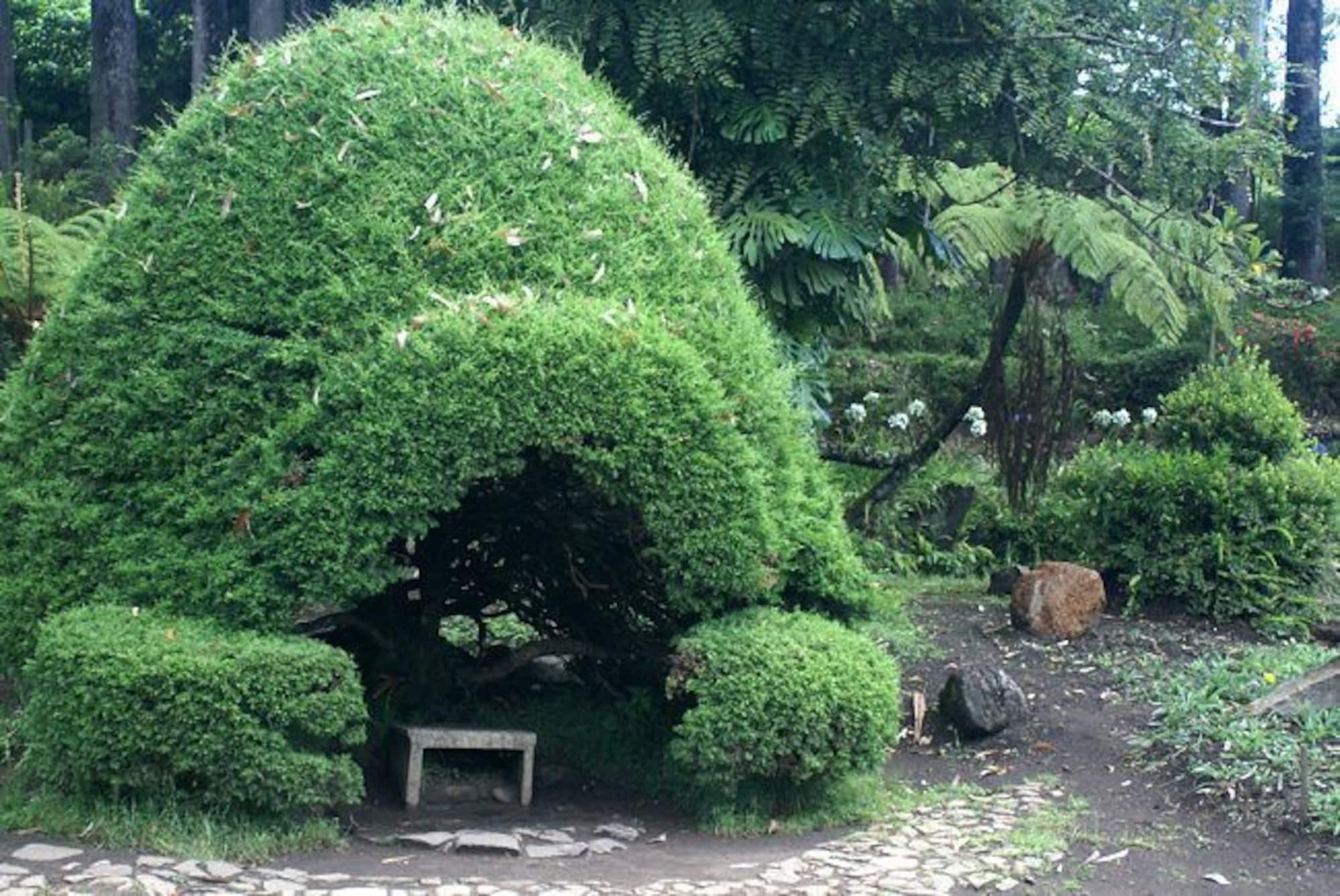 Casablanka Rest Guest House นานูโอยา ภายนอก รูปภาพ